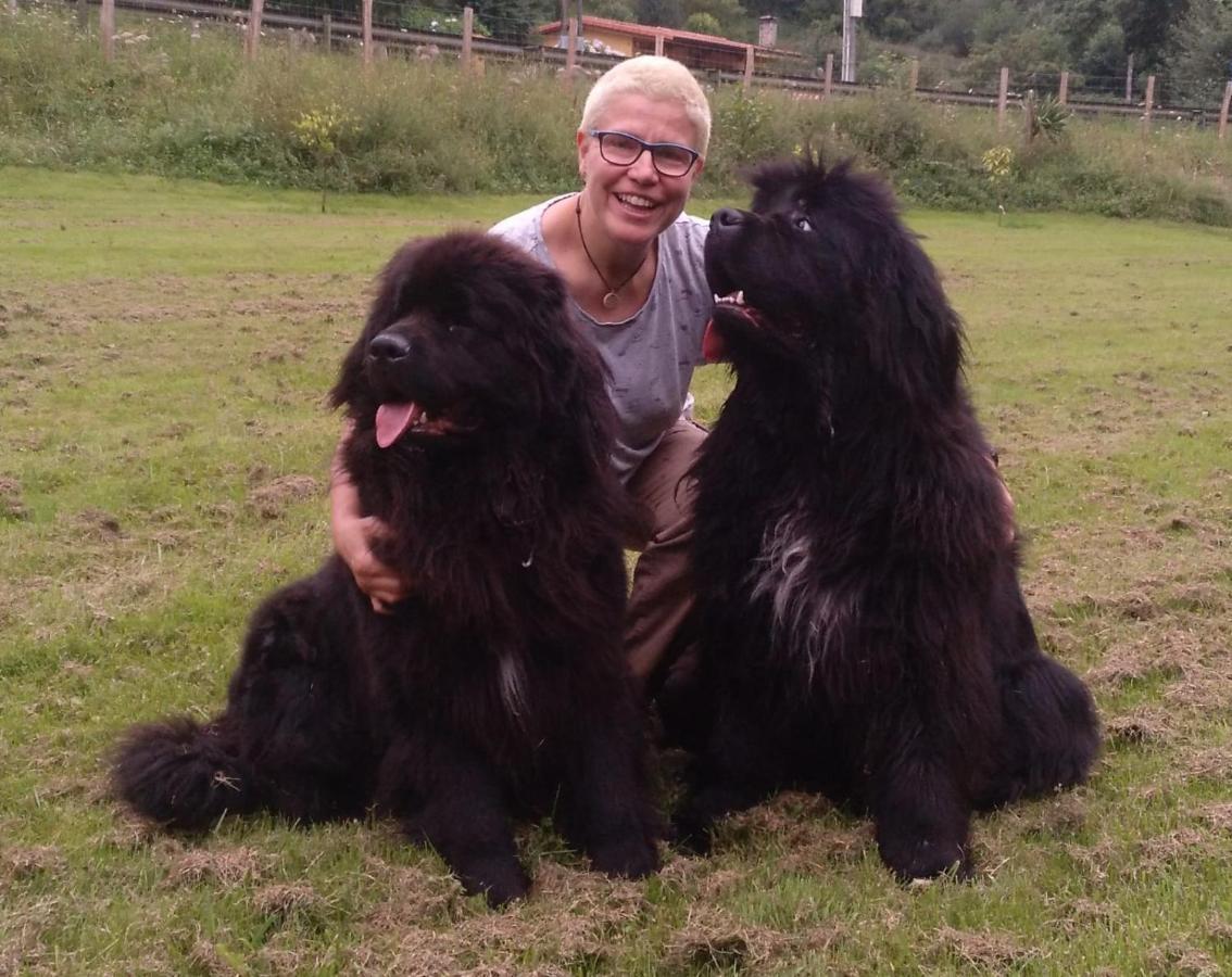 Posada Pet Friendly El Molino De Cantabria Entrambasaguas  Luaran gambar