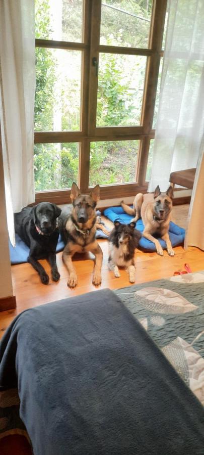 Posada Pet Friendly El Molino De Cantabria Entrambasaguas  Luaran gambar