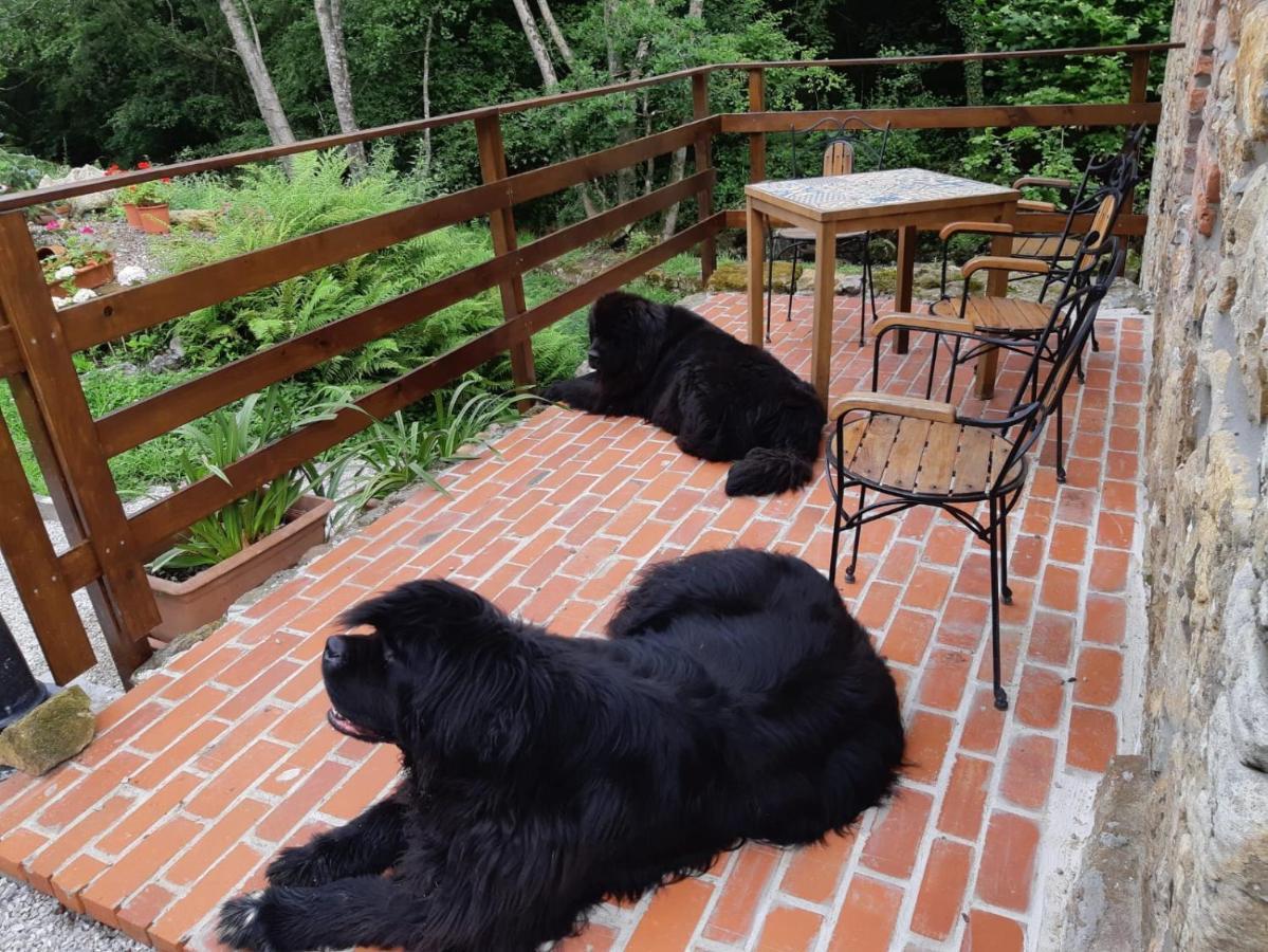 Posada Pet Friendly El Molino De Cantabria Entrambasaguas  Luaran gambar