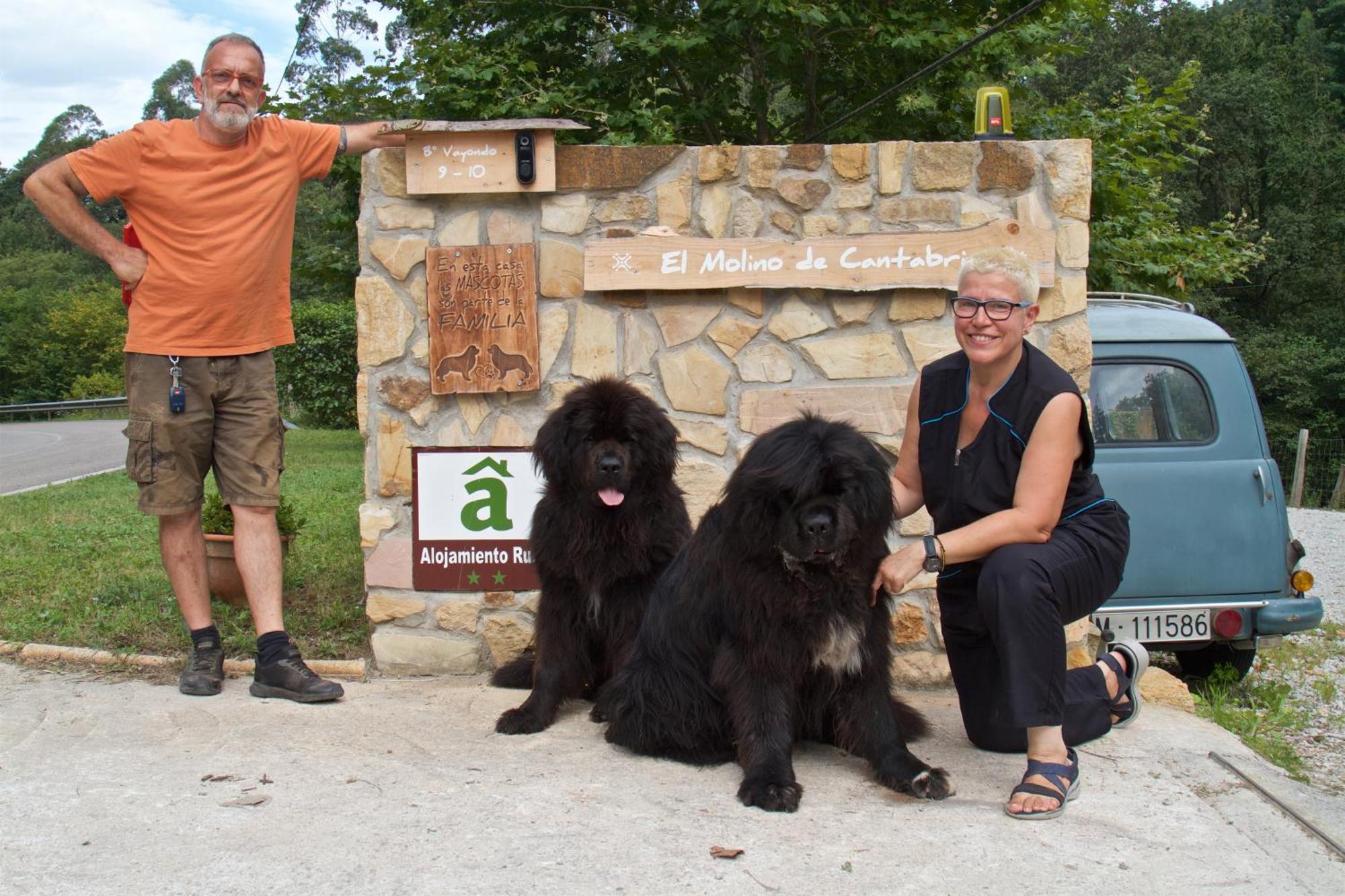 Posada Pet Friendly El Molino De Cantabria Entrambasaguas  Luaran gambar
